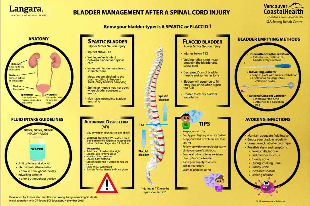 bladder-management-living-with-spinal-cord-injury