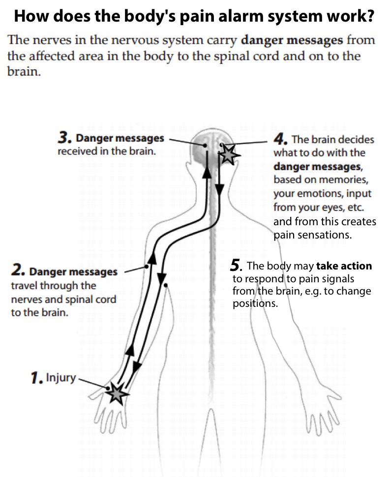 spinal cord injury pain pathway cascade