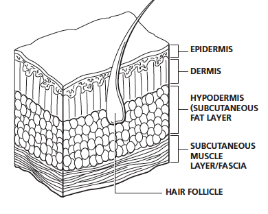 Skin Health - Living With Spinal Cord Injury